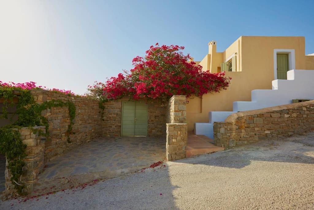 Ochre Dream, Beach Front & Sunset Villa Naousa Экстерьер фото